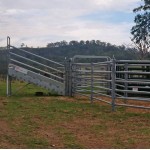 Cattle Yard Loading Ramp - CollectA